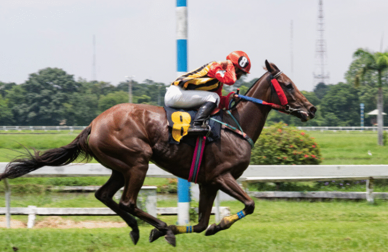 Horse Racing Betting Systems: Do They Actually Work?