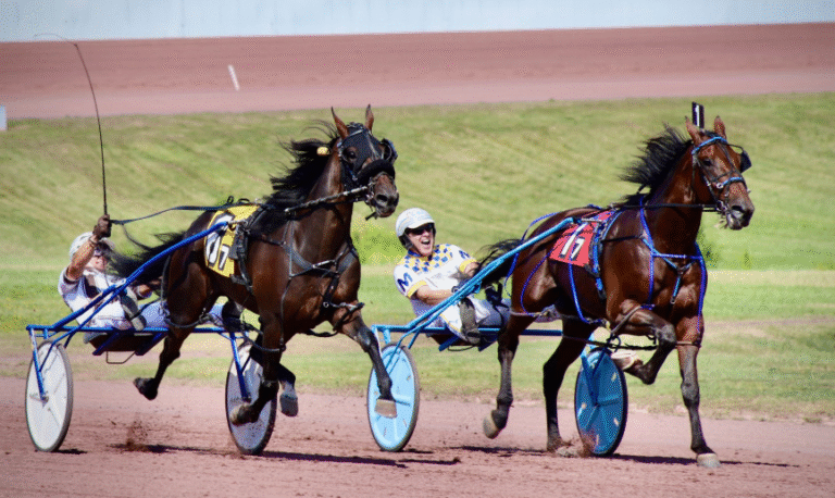 Horse Racing Etiquette: What to Know When Attending a Race