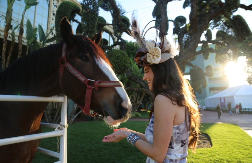 Horse Racing Fashion: What to Wear to the Track