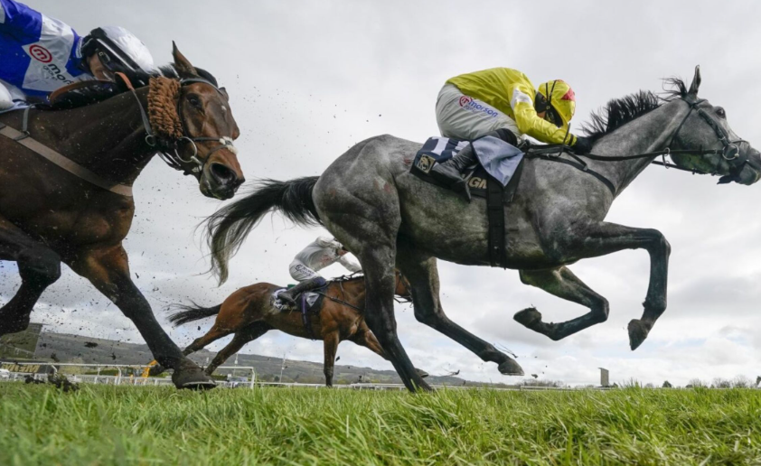 Horse Racing for Charity: How the Sport Gives Back