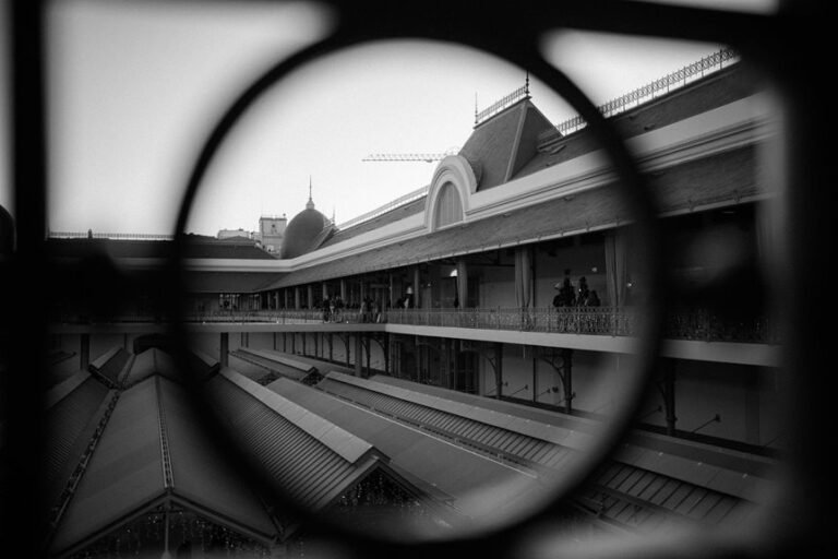 market growth and elevation